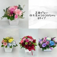画像288