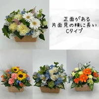 画像289