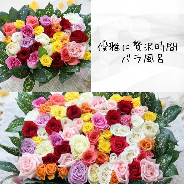画像304