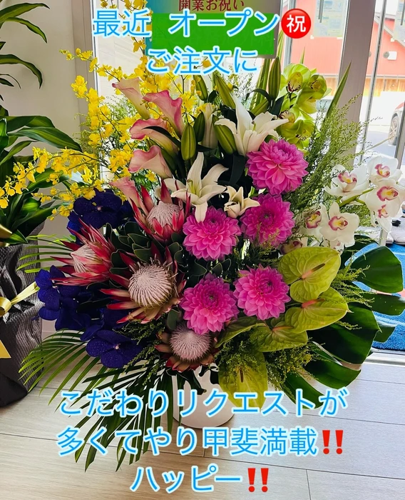 画像394