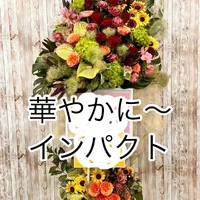 画像396