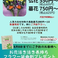 画像403