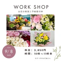 画像424