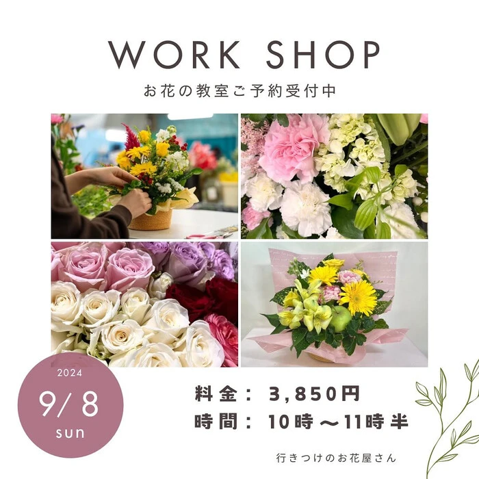 画像424