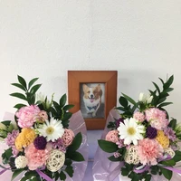 画像427