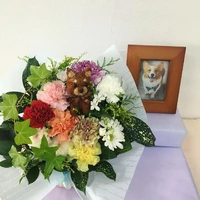 画像428