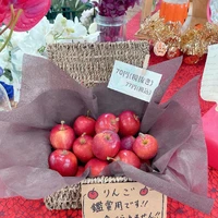 画像495