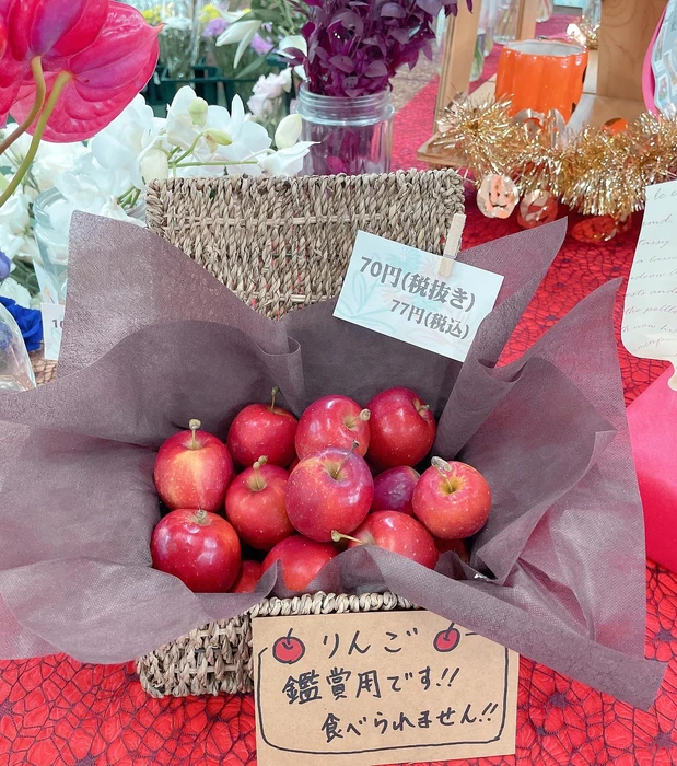 画像495