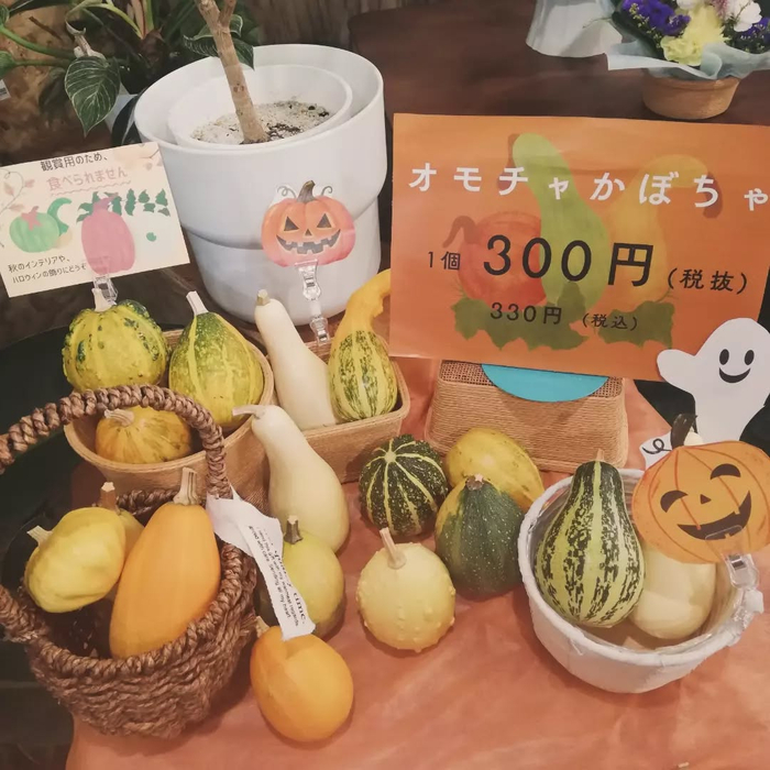 画像875